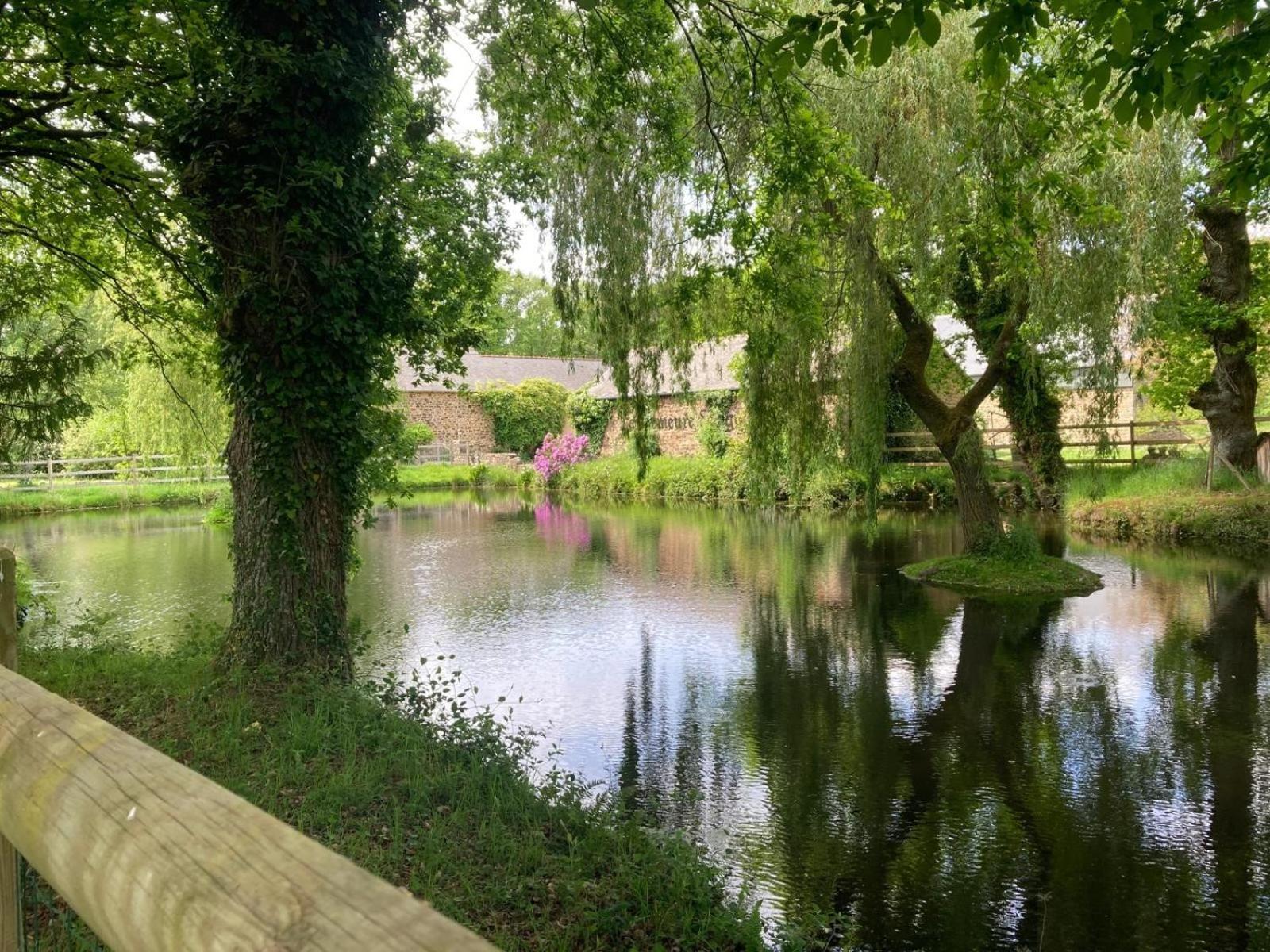 La Demeure Romantique Bazouges-sous-Hede Extérieur photo