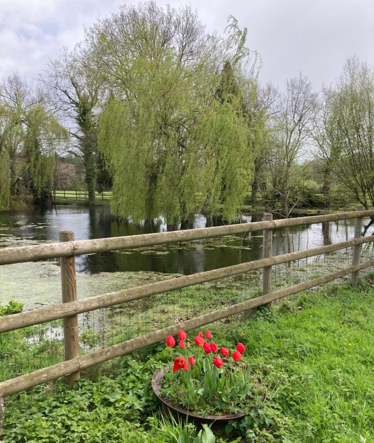 La Demeure Romantique Bazouges-sous-Hede Extérieur photo