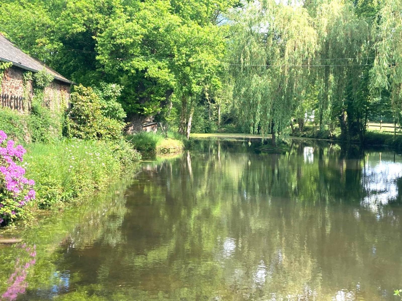 La Demeure Romantique Bazouges-sous-Hede Extérieur photo